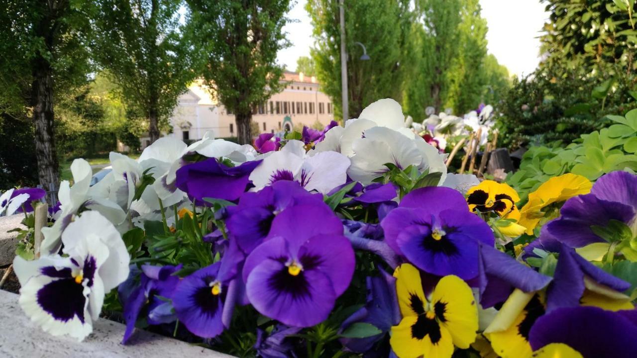 Biancavilla B&B Brescia Eksteriør bilde